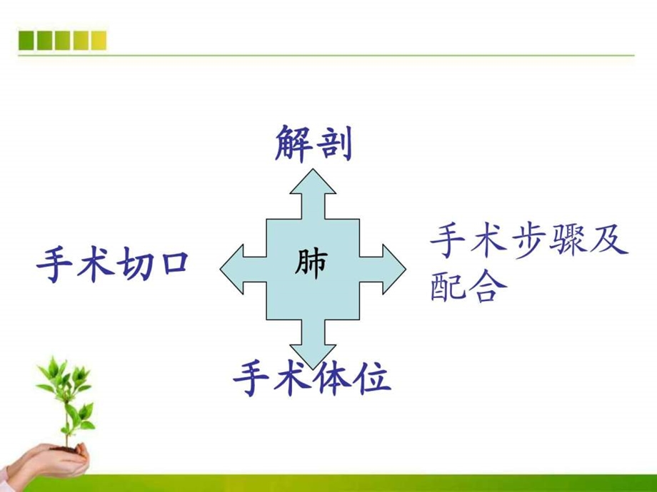 肺叶切除术手术配合ppt课件图文.ppt.ppt_第3页