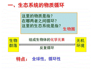 生态系统的物质循环信息传递和稳定性图文.ppt.ppt