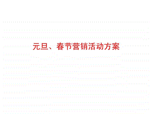 中国移动元旦丶节营销方案.ppt