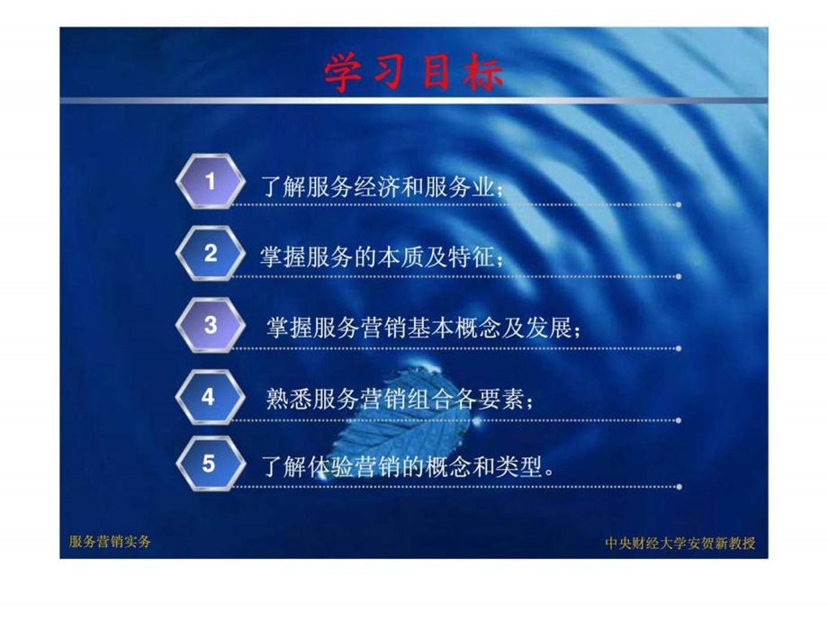 服务营销第一章.ppt_第2页