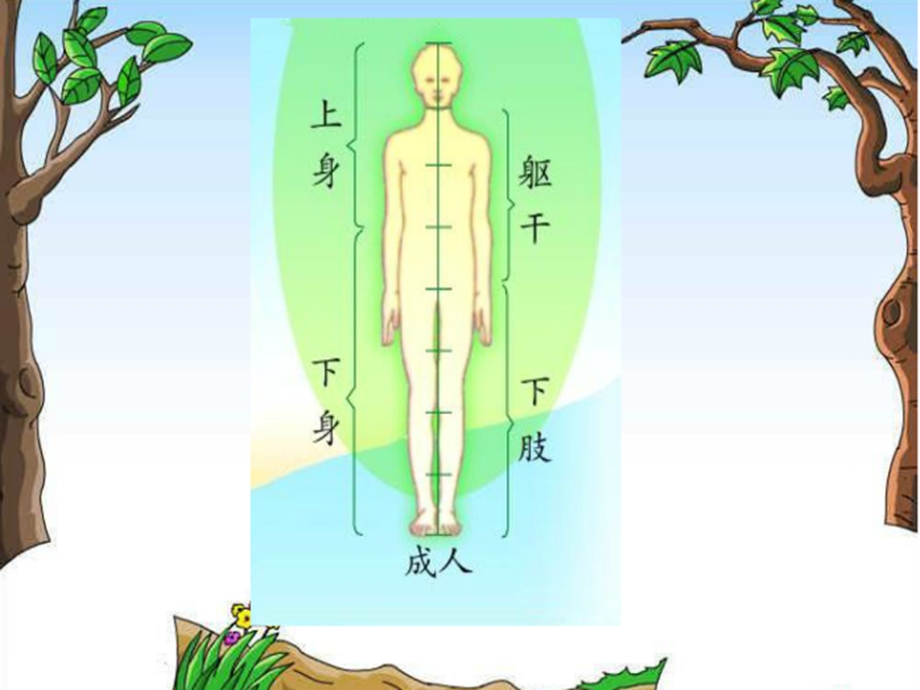 分数的初步认识课件ppt课件.ppt_第3页