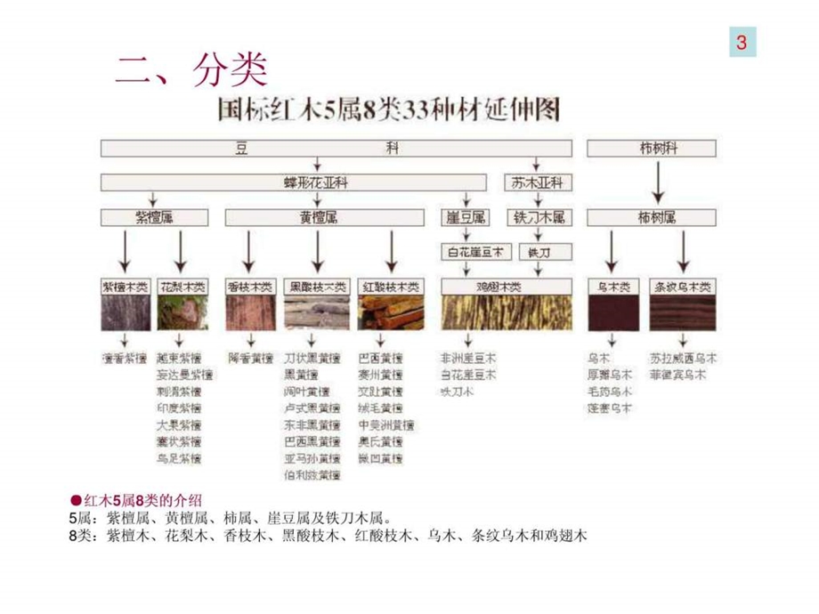 红木知识详细.ppt_第3页