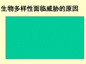 我用发酵技术.ppt.ppt