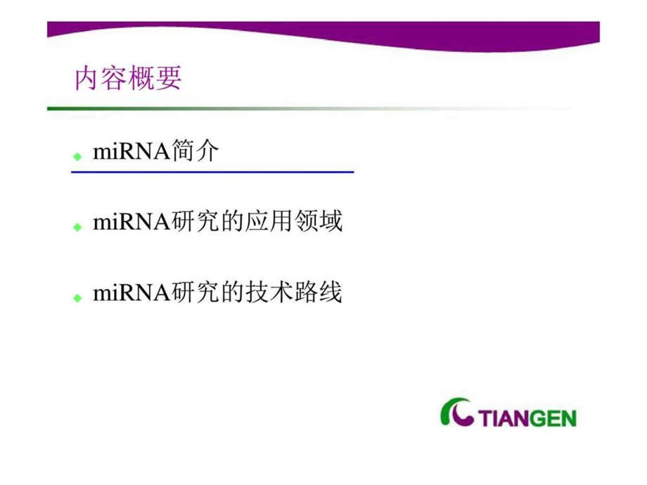 microRNA研究2.ppt_第2页