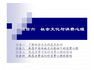 项目六社会文化与消费心理.ppt