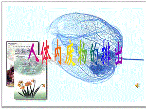 人教版第四单元第五章《人体内废物的排出》复习课件.ppt