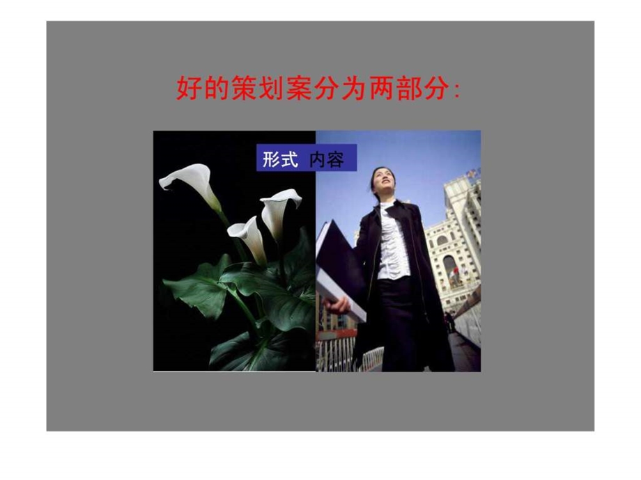 怎样做好一份策划案.ppt.ppt_第2页