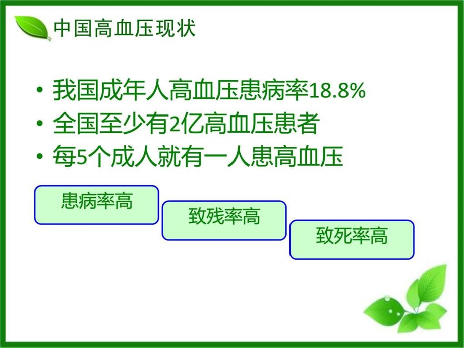 高血压培训PPT.ppt.ppt_第2页