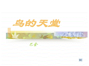 鸟的天堂阳光学习网.ppt