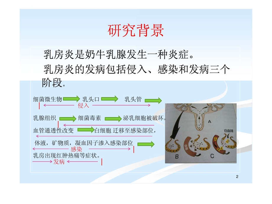 0625乳房炎减少的研究.ppt.ppt_第2页