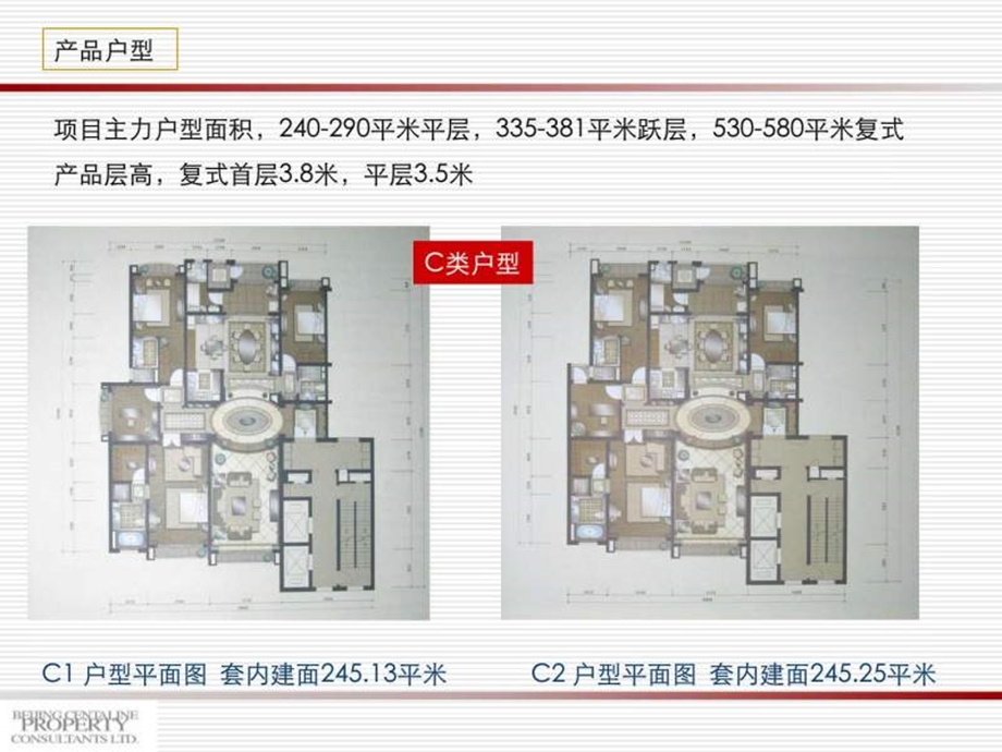 星河湾帝景个案.ppt.ppt_第3页