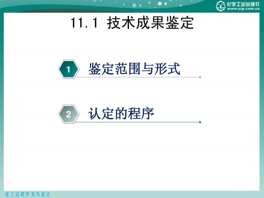 化工过程开发与设计第11章化工过程开发与技术转让中.ppt_第3页