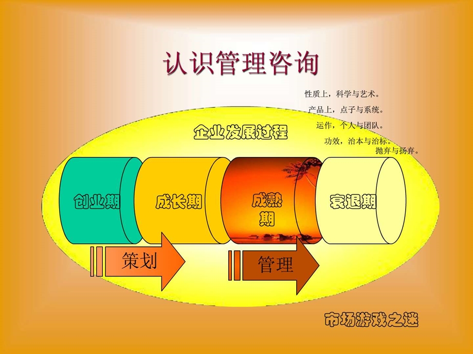 管理顾问全国统一认证班教程管理顾问操作实务PPT33.ppt.ppt_第3页