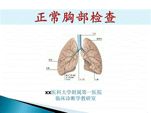 诊断学教学ppt胸部查体.ppt.ppt