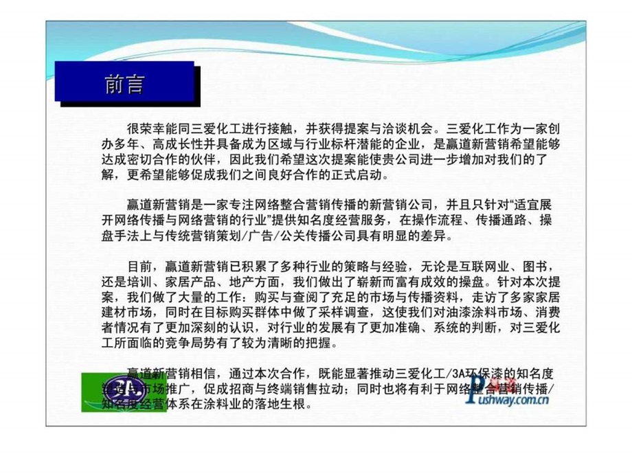 三爱化工3A环保漆整体知名度网络整合营销传播项目提案书.ppt_第2页