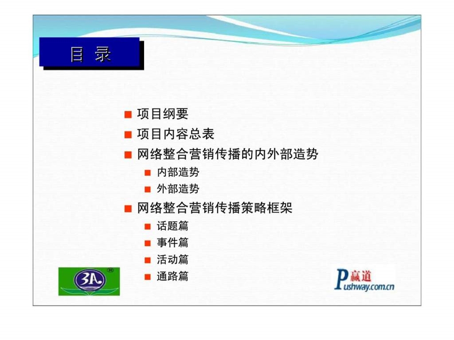 三爱化工3A环保漆整体知名度网络整合营销传播项目提案书.ppt_第3页