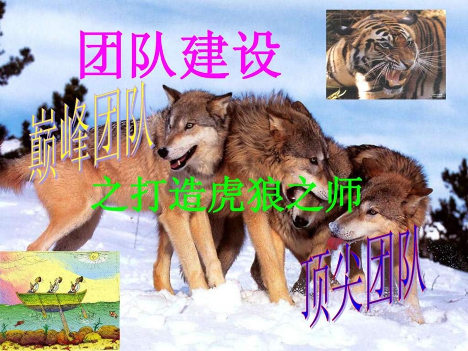 团队管理之虎狼之师.ppt.ppt_第1页