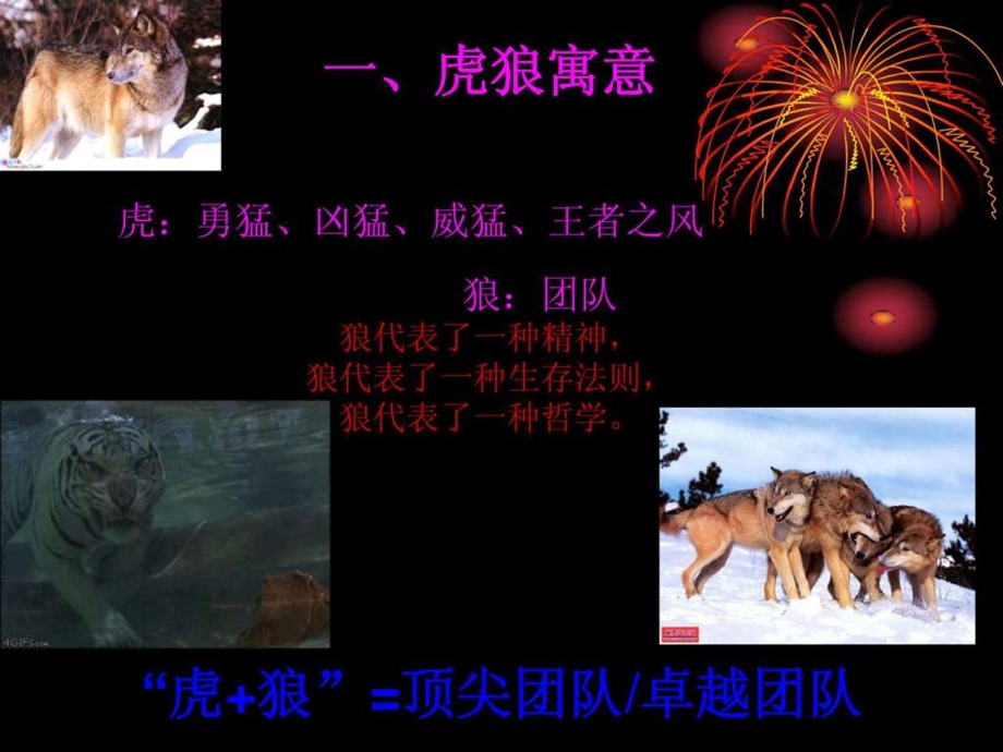 团队管理之虎狼之师.ppt.ppt_第3页