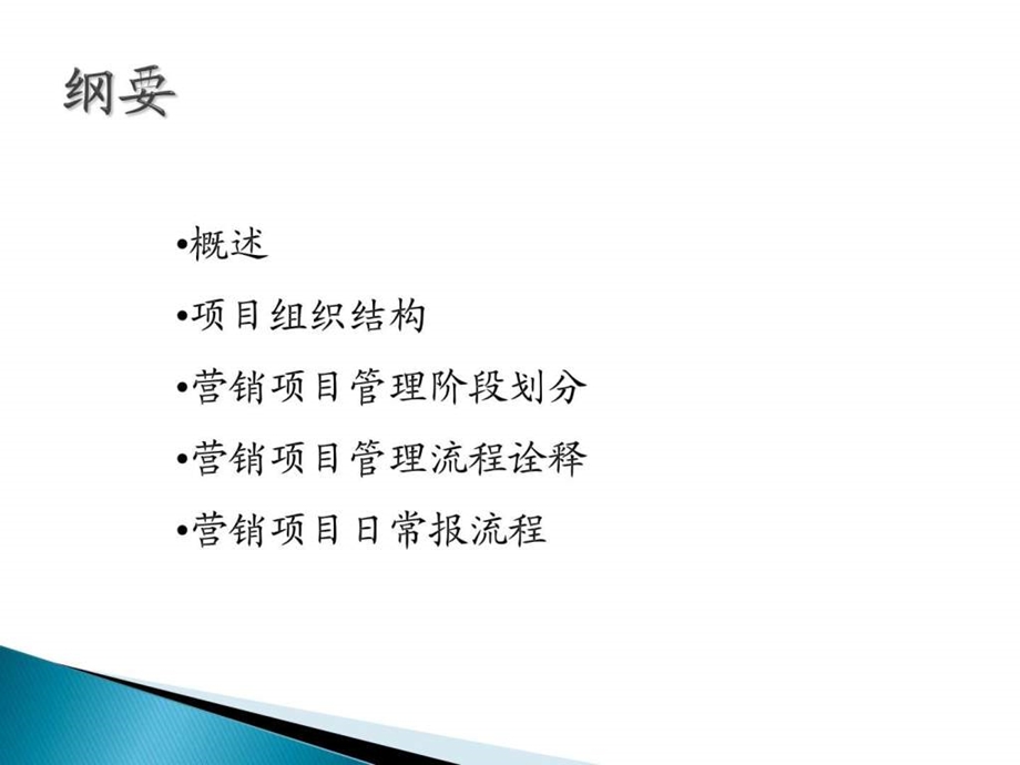 营销项目管理流程.ppt.ppt_第2页