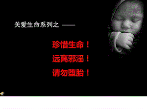 珍惜生命请勿堕胎.ppt.ppt