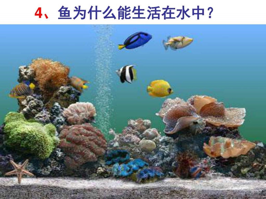 5氧气MicrosoftPowerPoint演示文稿.ppt_第3页