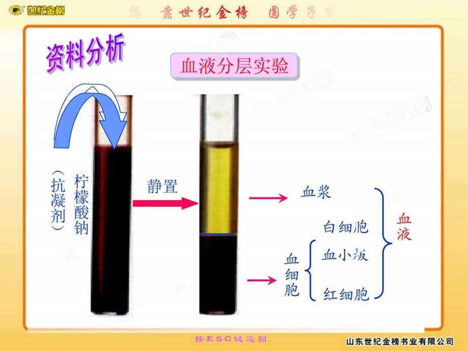 流动的组织血液.ppt.ppt_第3页