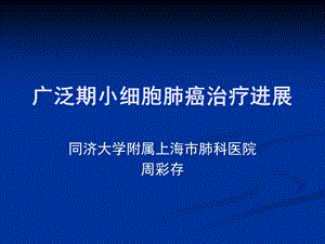 一线治疗小细胞肺癌进展.ppt