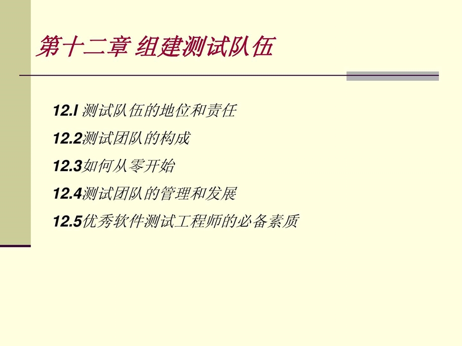 软件测试组建测试队伍图文.ppt.ppt_第2页