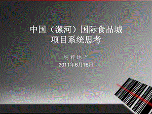 中国漯河国际食品城项目系统思考.ppt.ppt