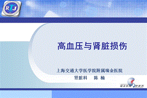 高血压与肾脏损伤.ppt