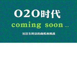 社区生鲜电商O2O平台商业运营计划书图文.ppt.ppt