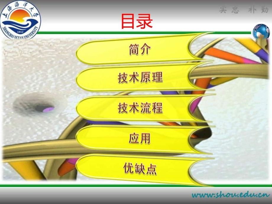 染色质免疫共沉淀PPT.ppt.ppt_第2页