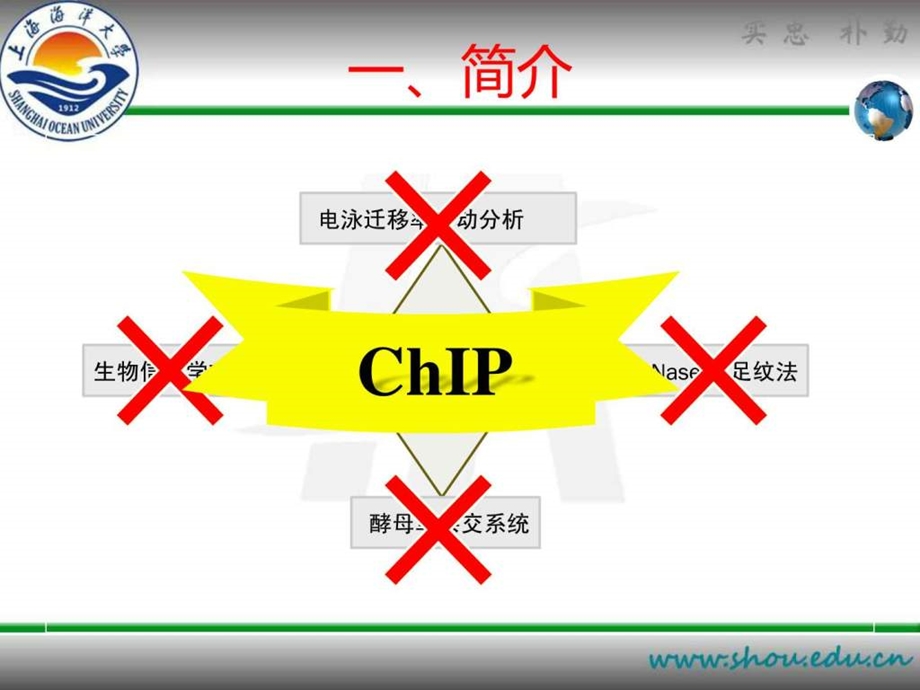 染色质免疫共沉淀PPT.ppt.ppt_第3页