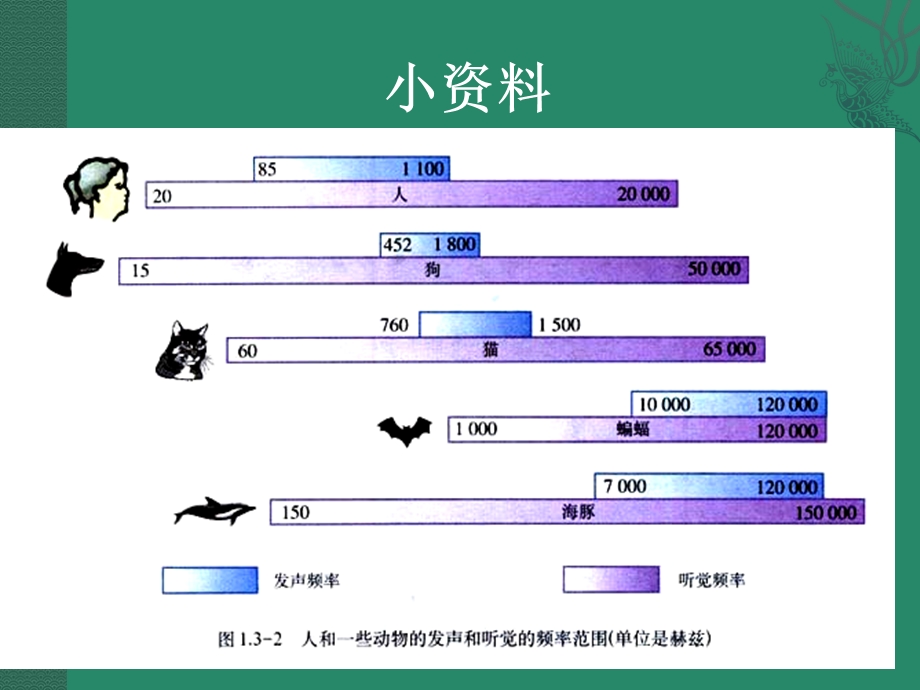 苏科版《14人耳听不见的声音》课件.ppt_第3页