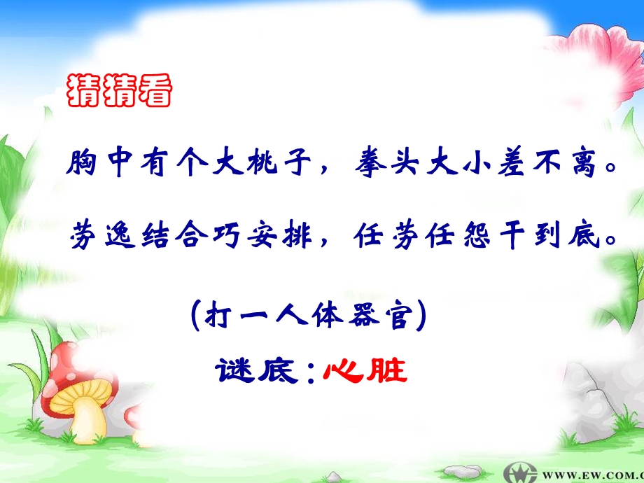 输送血液的泵—心脏 (2).ppt_第2页