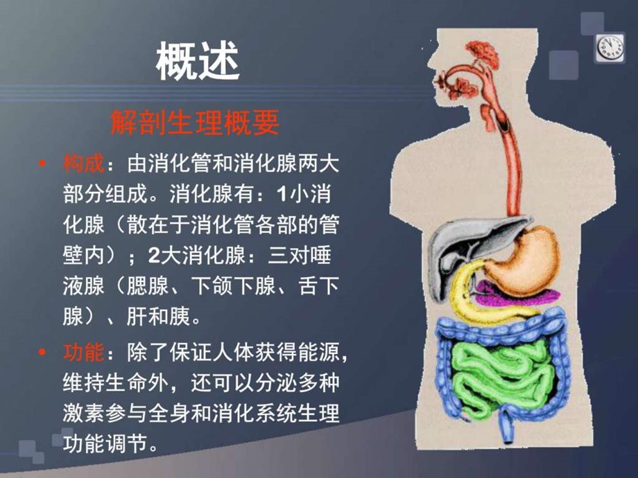 消化系统护理学.ppt_第3页