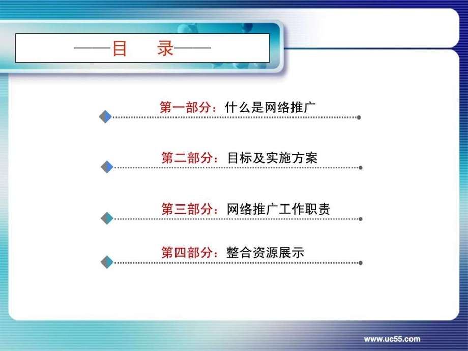 网络推广方案最终版.ppt.ppt_第3页