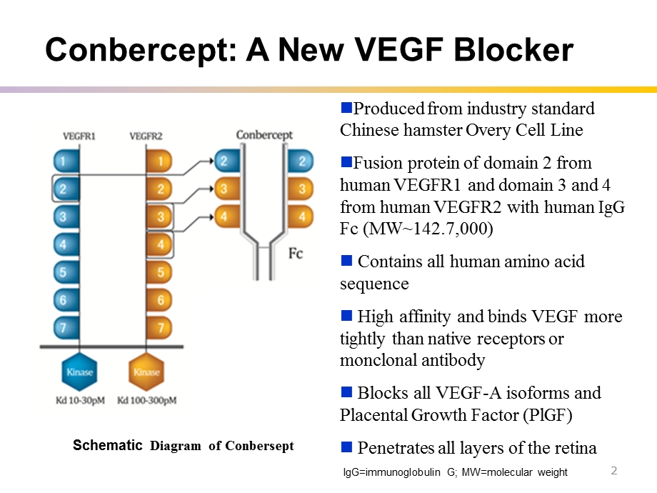 recentprogressofconberceptinclinicalstudies.ppt_第2页