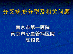 分叉病变分型ppt课件.ppt