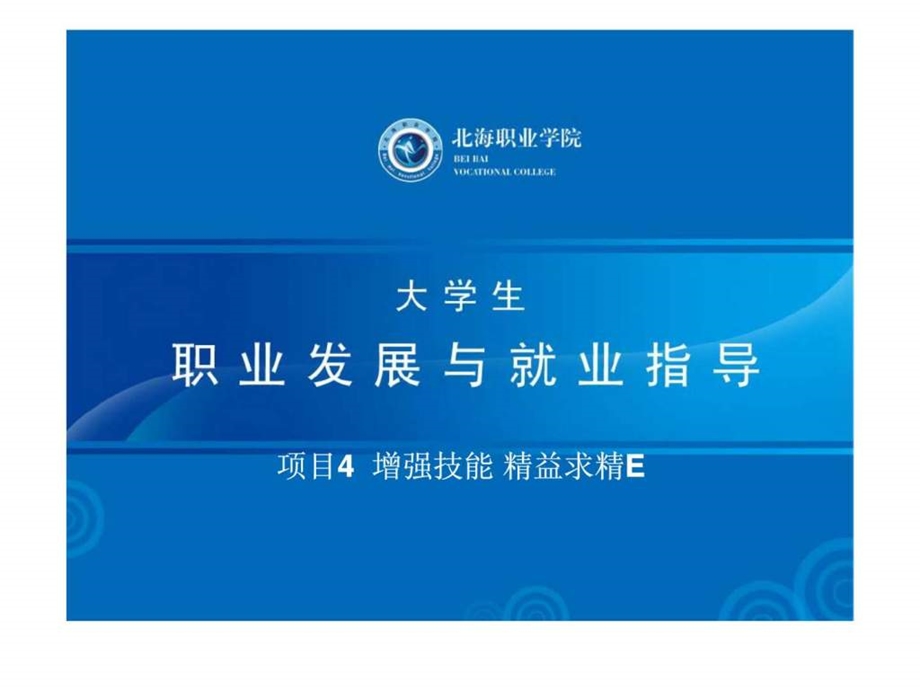 大学生职业发展与就业指导项目4增强技能精益求精E.ppt_第1页