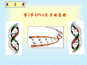 人教版必修二第3章第3节DNA的复制（共34张PPT）.ppt