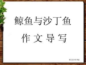 鲸鱼与沙丁鱼作文指导.ppt