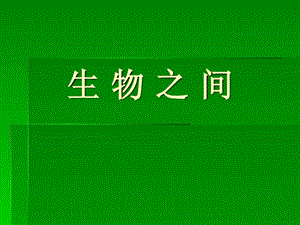 小学自然科学食物链和食物网PPT课件.ppt.ppt