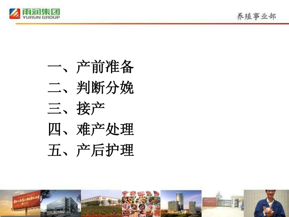 母猪的分娩与接产操作规范530.ppt.ppt_第2页