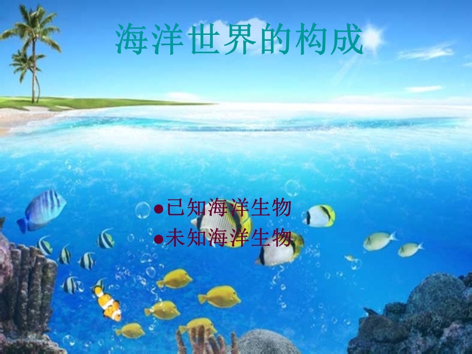 多彩的海洋世界精品PPT课件.ppt_第2页