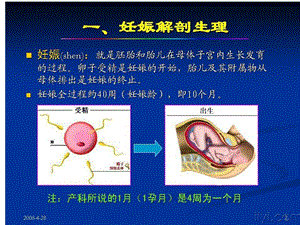 产科超声检查与诊断.ppt