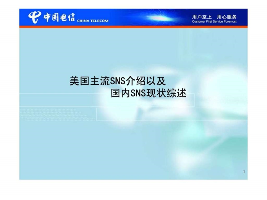 sns横向研究报告.ppt_第1页