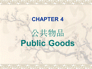 林细细财政学第4章.ppt