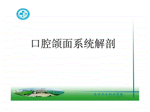 9口腔颌面系统解剖上颌骨图文.ppt.ppt