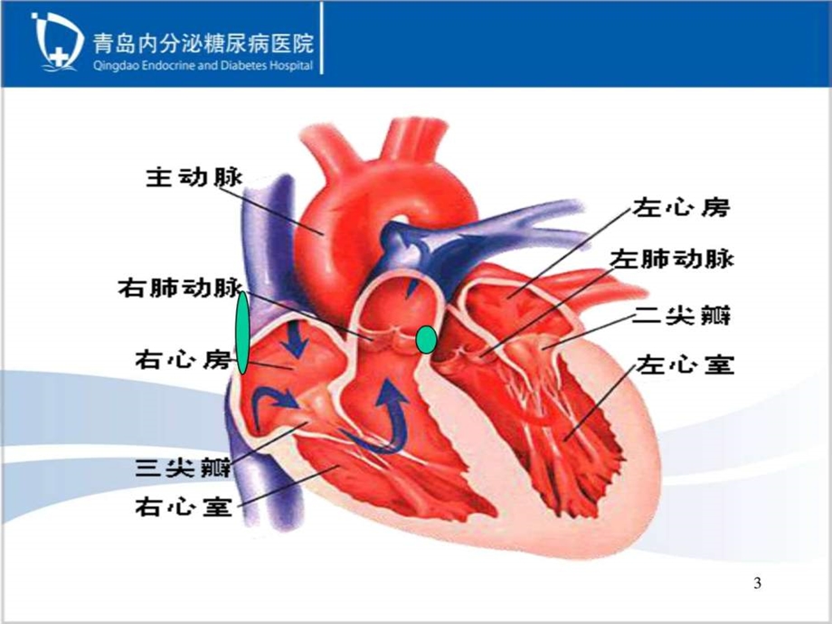 ICU提高课程常见心律失常心电图识图.ppt.ppt_第3页